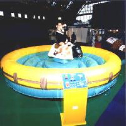 Bigbull 1748335156 Mechanical Bull