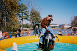 Bull0520 20Copy 1748335156 Mechanical Bull